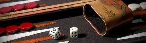 Backgammon Spel